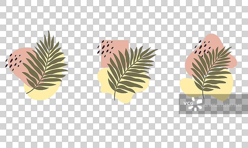 树叶元素的美学图形图片素材