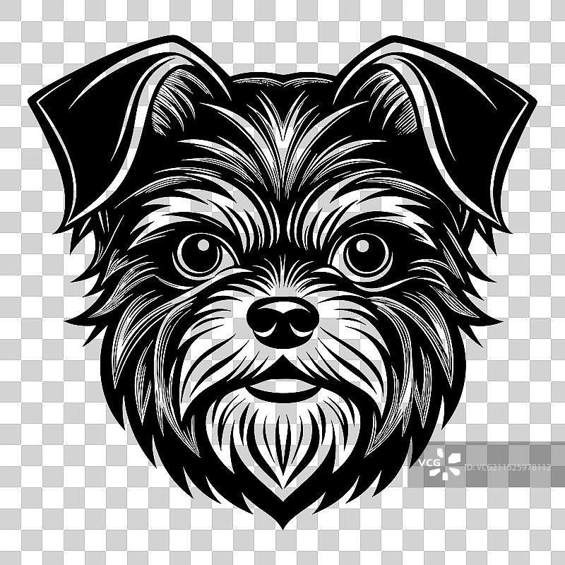 黑白布鲁塞尔格里芬犬头像图标图片素材