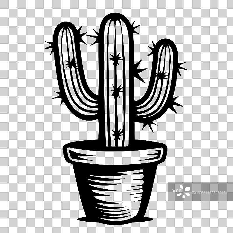 仙人掌盆栽图片素材