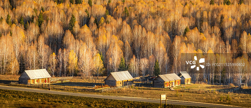 秋天的新疆禾木村图片素材