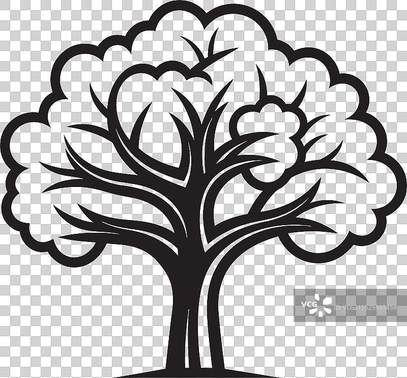 低语的智慧树皮秘密语言森林图片素材