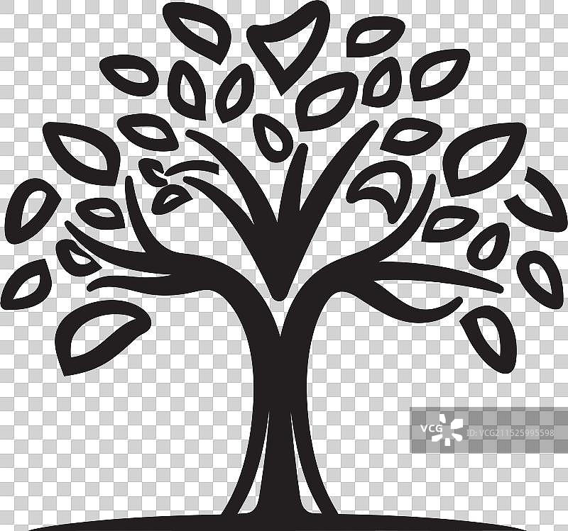 天篷下宁静的林地宁静图片素材