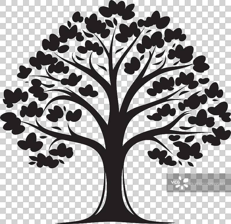 空灵拥抱，自然温柔的树皮图片素材