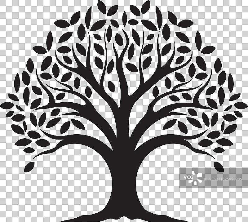 冰岛东北部，厄克萨峡湾海岸线风光图片素材