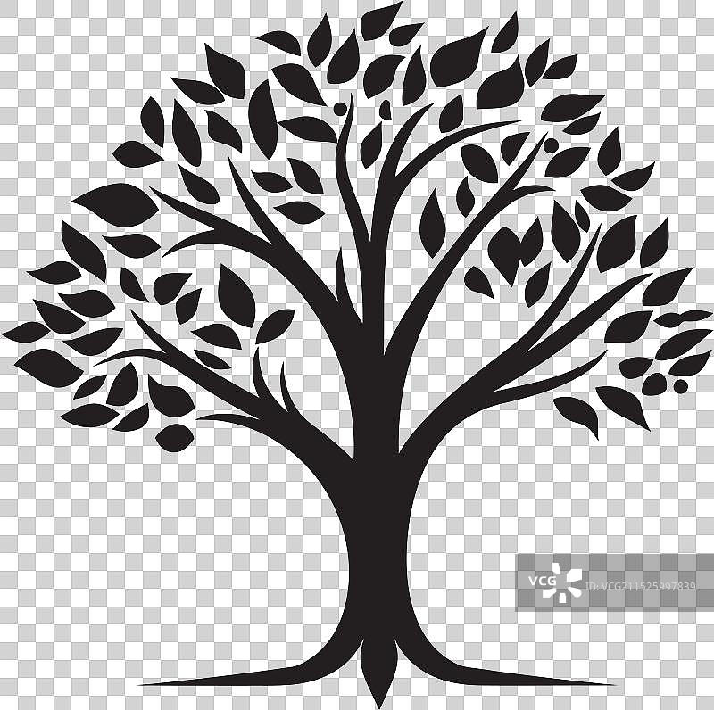 古树低语图片素材