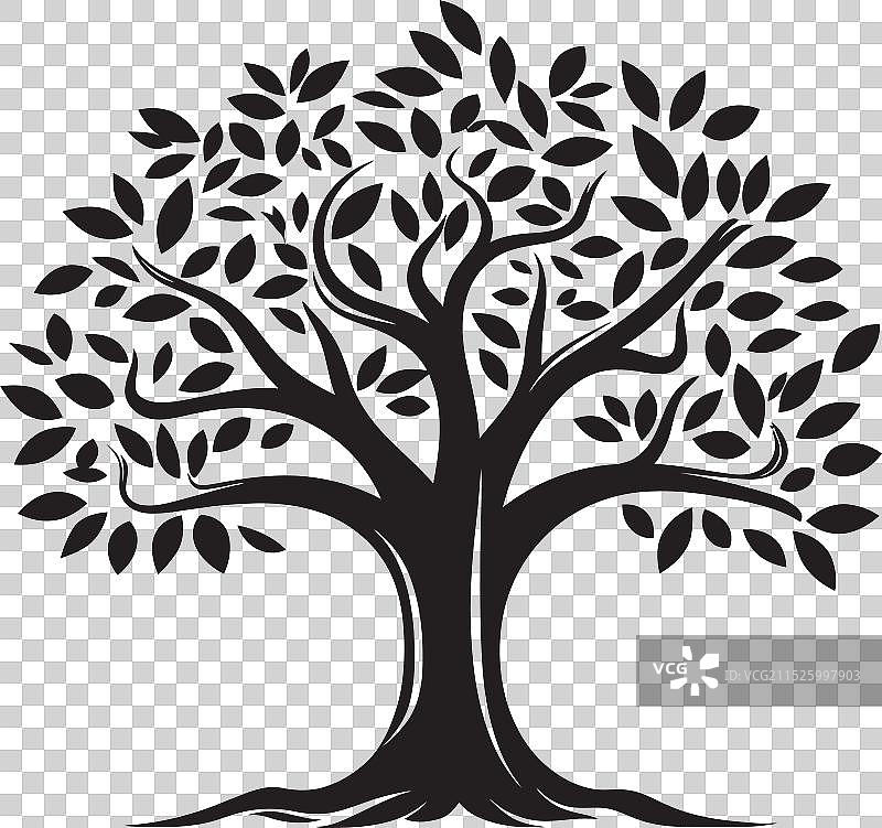 树皮树叶中的低语智慧秘密图片素材