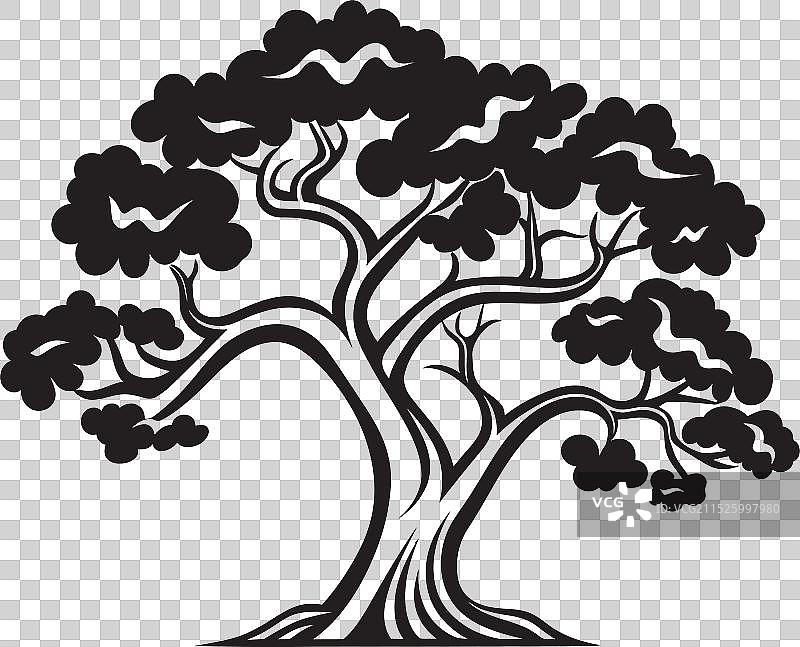 树皮低语的智慧秘密图片素材