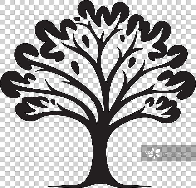 天篷下宁静的林地宁静图片素材