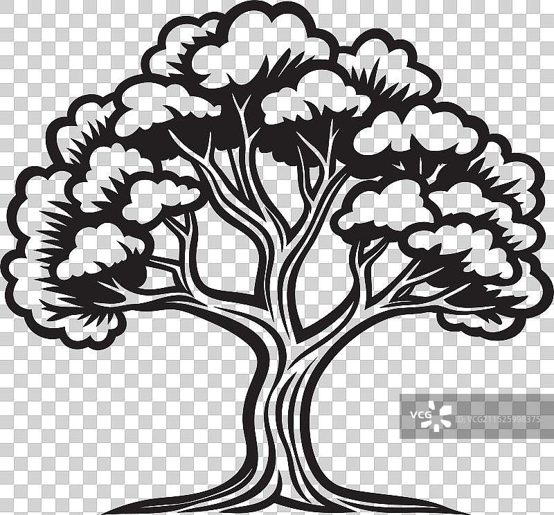 树木结节中的低语智慧秘密图片素材