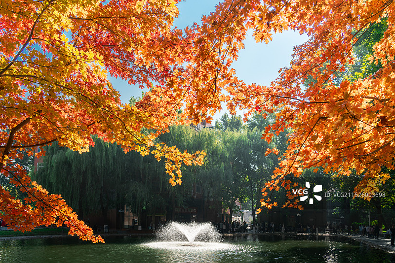 中国传媒大学秋景图片素材