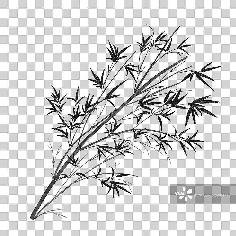 墨竹图片素材