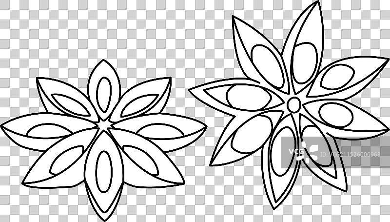 白色背景上的八角茴香，烹饪美食图片素材