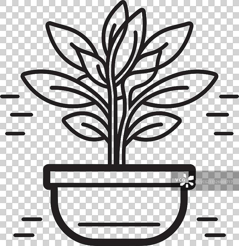 伊甸园花盆植物绿色绿洲图片素材