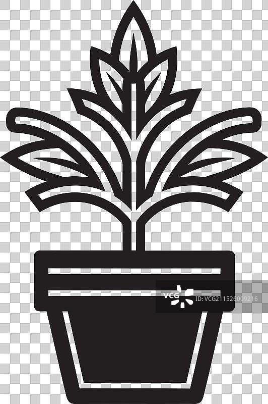 丛林伊甸园宽叶植物logo概念图片素材