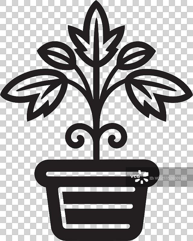 丛林珠宝宽大叶子象征伊甸园逃生图片素材