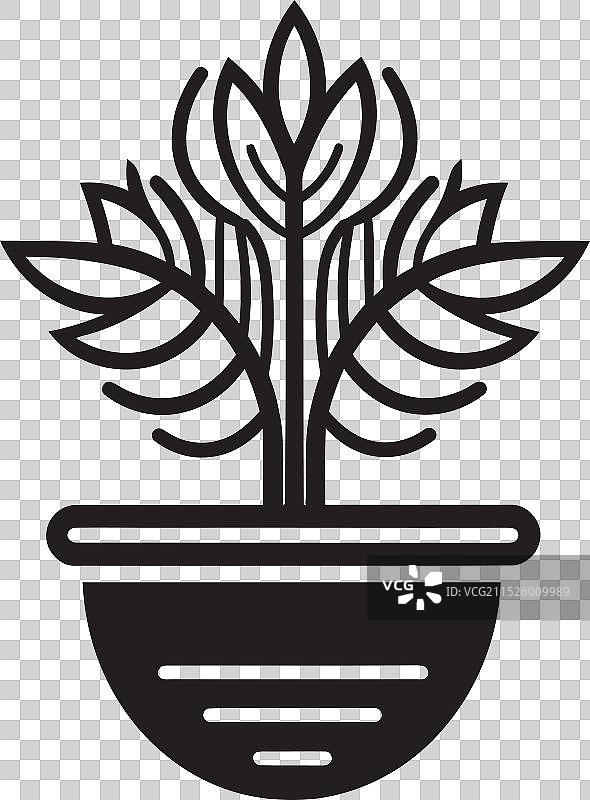 伊甸园度假异国情调盆栽标志丛林逃生宽图片素材