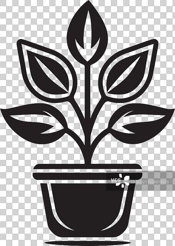 伊甸园精华异国情调树叶标志概念图片素材