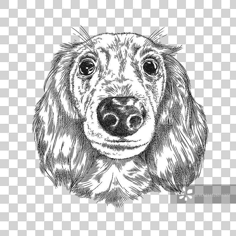 手绘的枪口图片素材