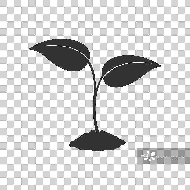 嫩芽徽章图片素材