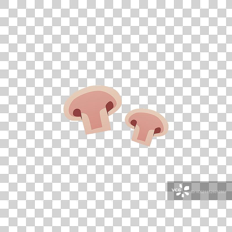 切片香菇图片素材