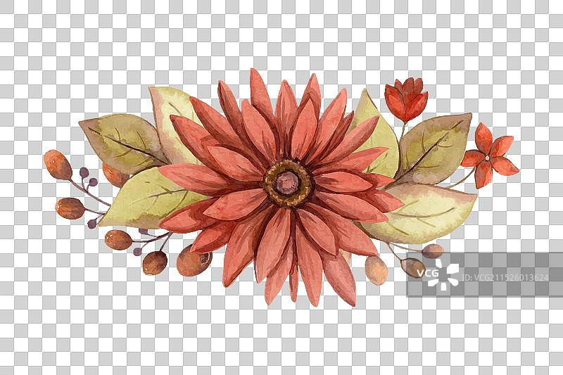 秋季红色水彩花卉排列图片素材