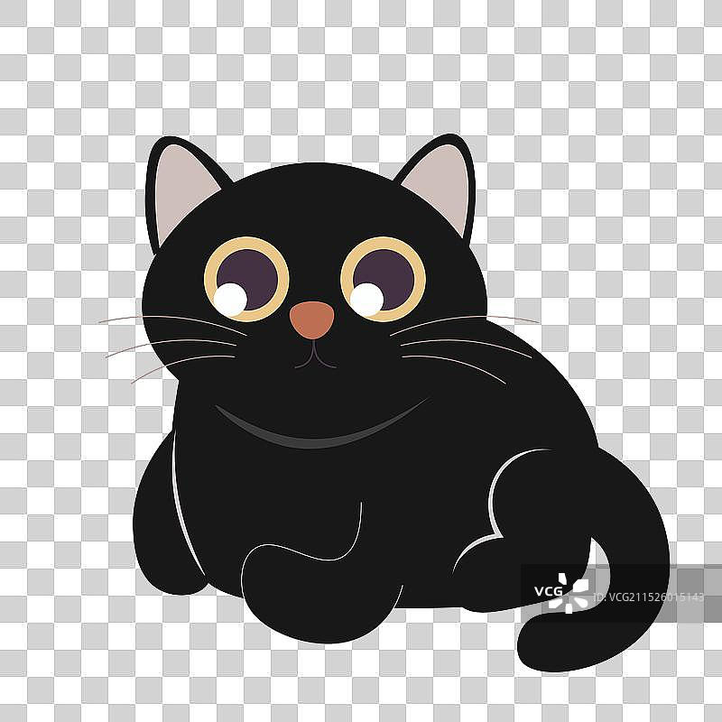 国际猫日图片素材