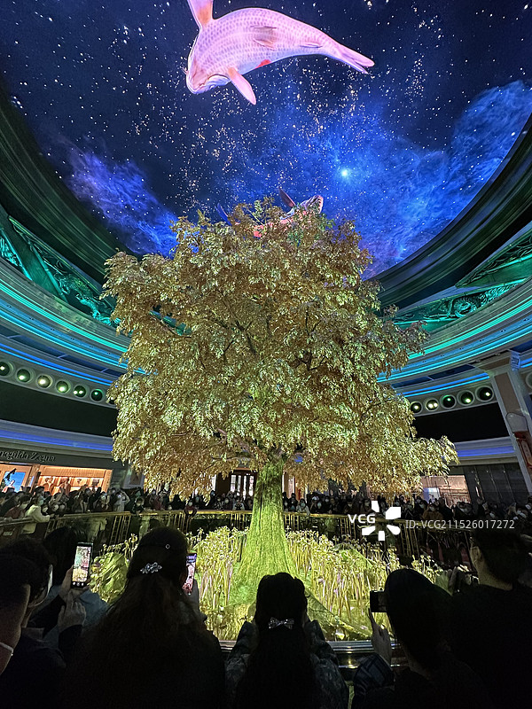 澳门永利纯金发财树图片素材