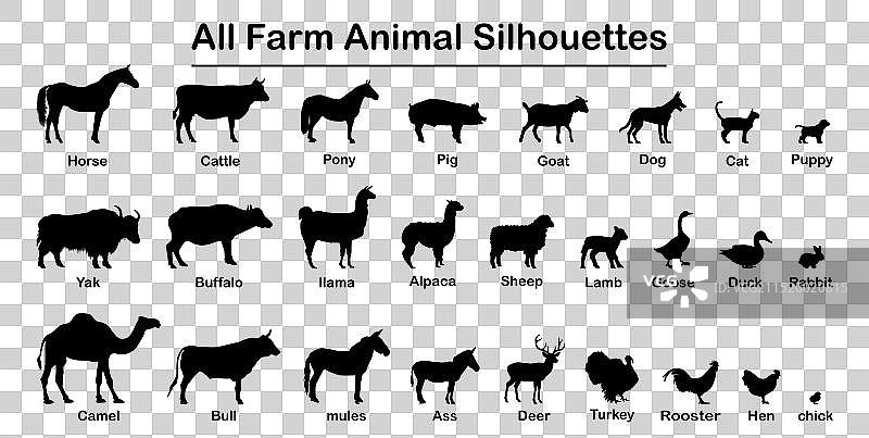 农场动物剪影合集图片素材