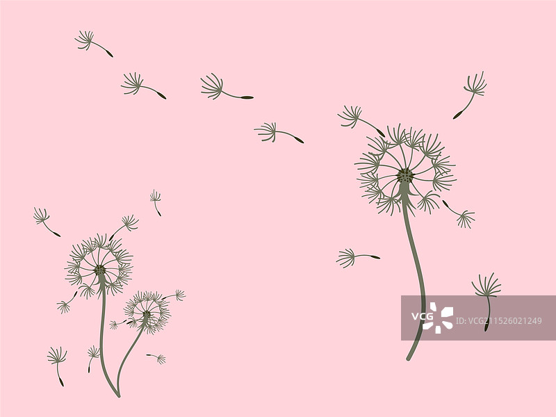 抽象蒲公英背景设计图片素材