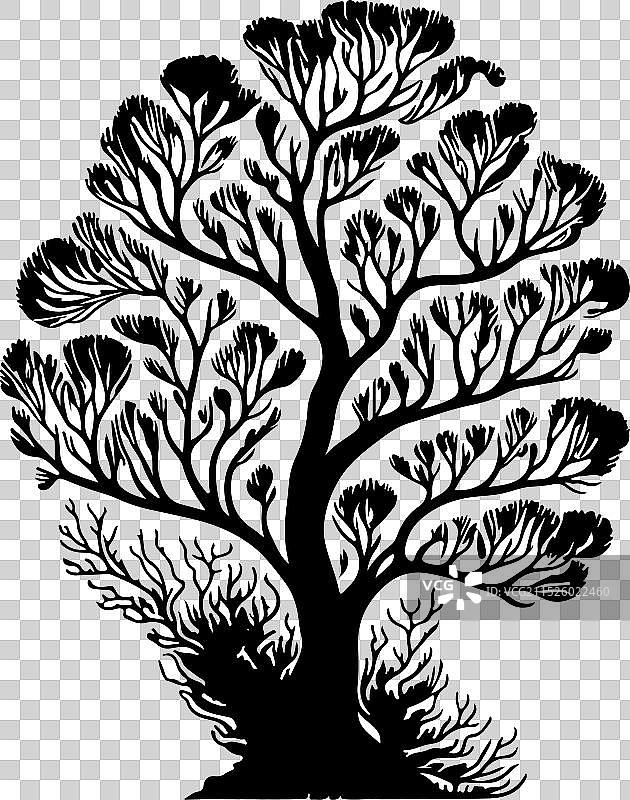 柳珊瑚图标手绘黑色珊瑚标志符号图片素材