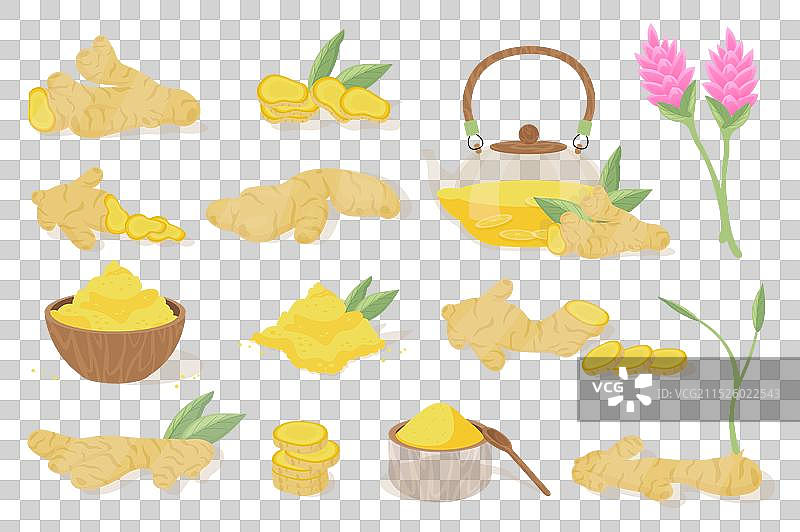 扁平卡通风格的姜产品元素大合集图片素材