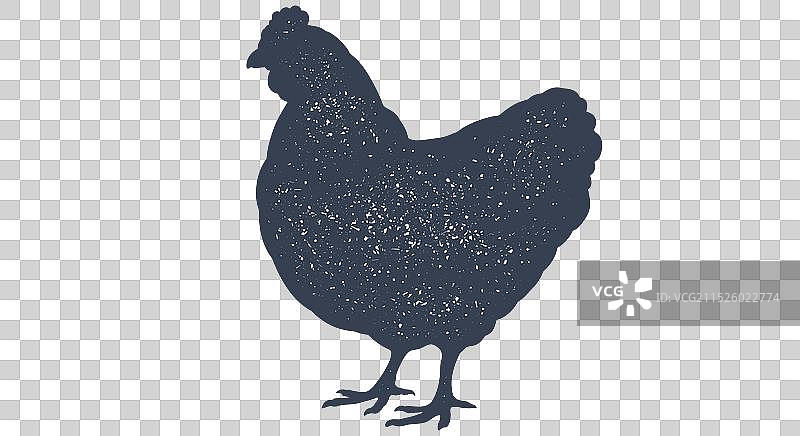 复古小母鸡印花图片素材