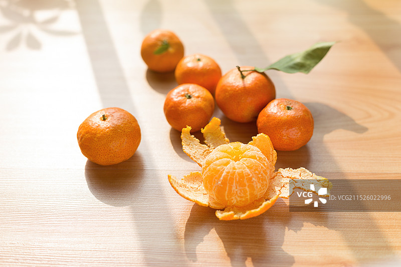 阳光照射下的小橘子/沙糖桔图片素材