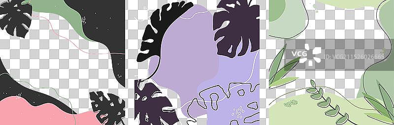 手绘植物背景合集图片素材