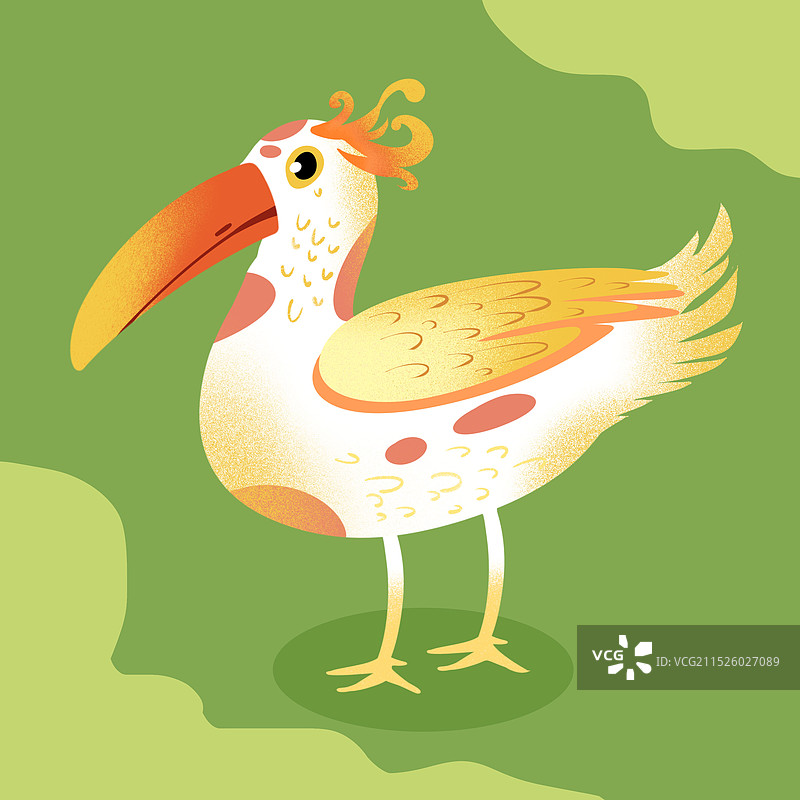 长嘴鸟插画图片素材