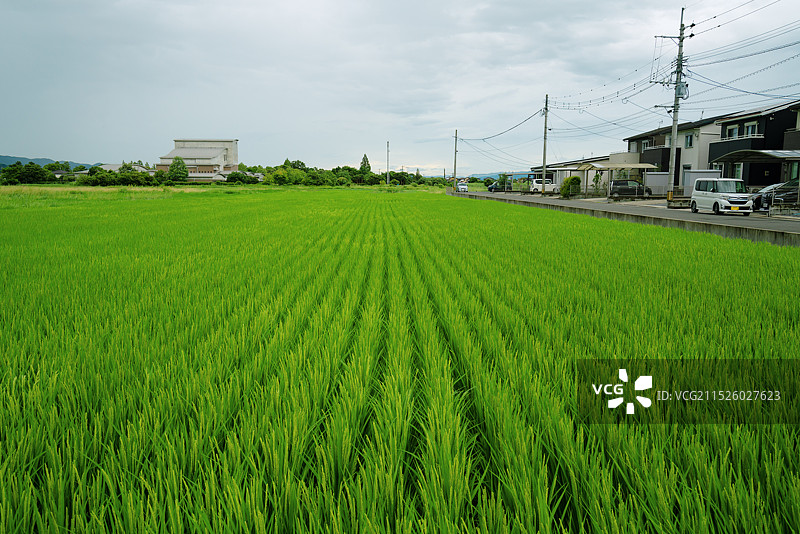 日本九州福冈县久留米市河童车站（田主丸站）旅游景区乡村美景！图片素材