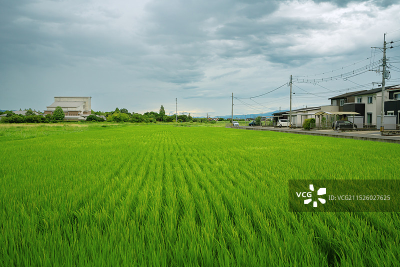 日本九州福冈县久留米市河童车站（田主丸站）旅游景区乡村美景！图片素材