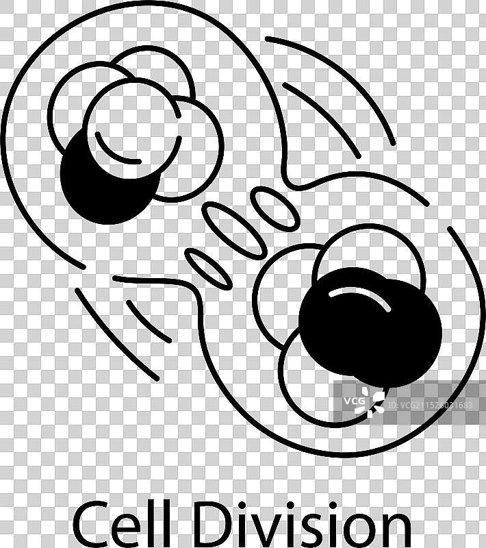 细胞分裂图片素材