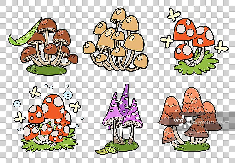 孤立的有毒蘑菇颜色变化图片素材