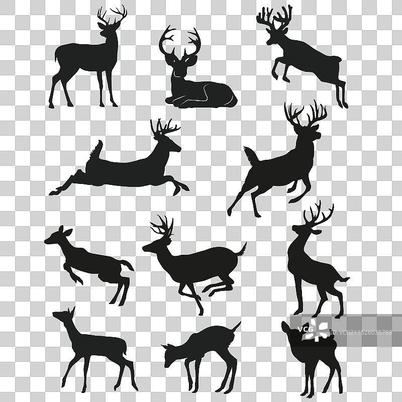 可爱小鹿形状合集图片素材