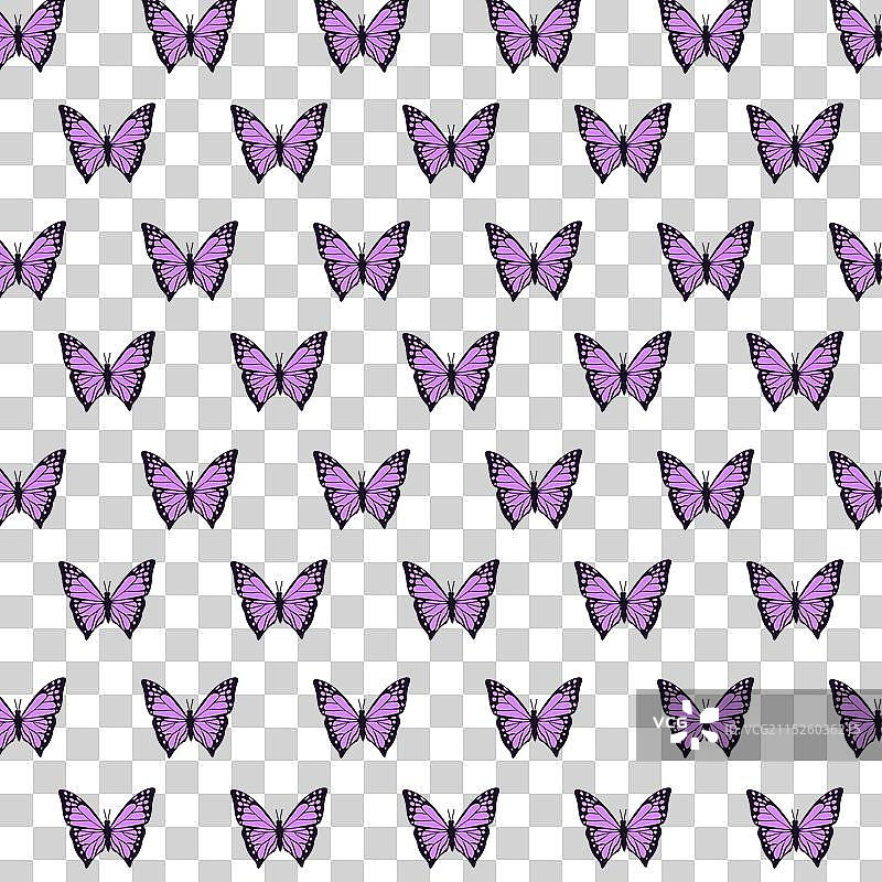 优雅蝴蝶图案简约艺术图片素材