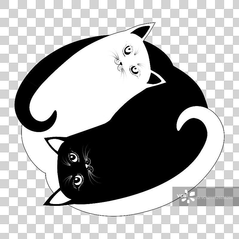 阴阳猫黑白动物图片素材
