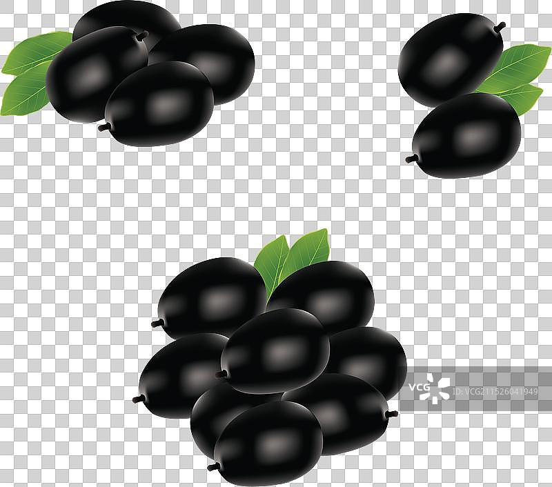 黑莓设计图片素材