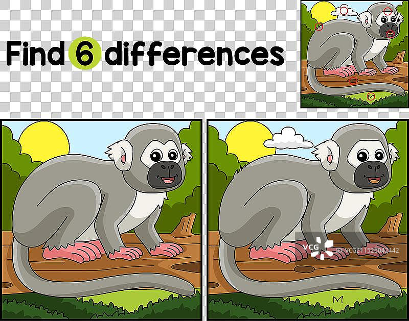 找不同的松鼠猴图片素材