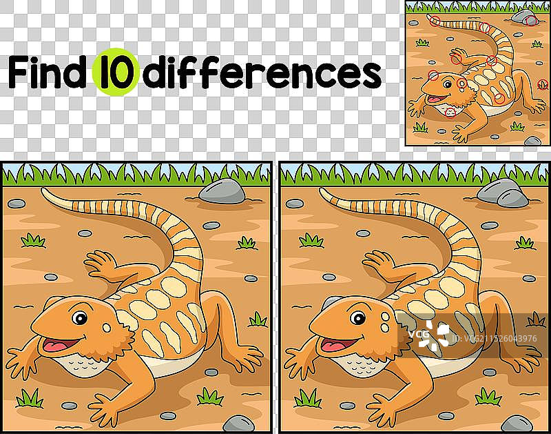 寻找差异的胡须龙动物图片素材