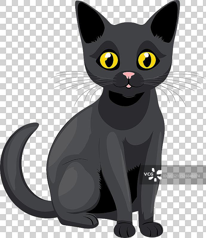 坐着的黑猫，有着明亮的黄色眼睛图片素材
