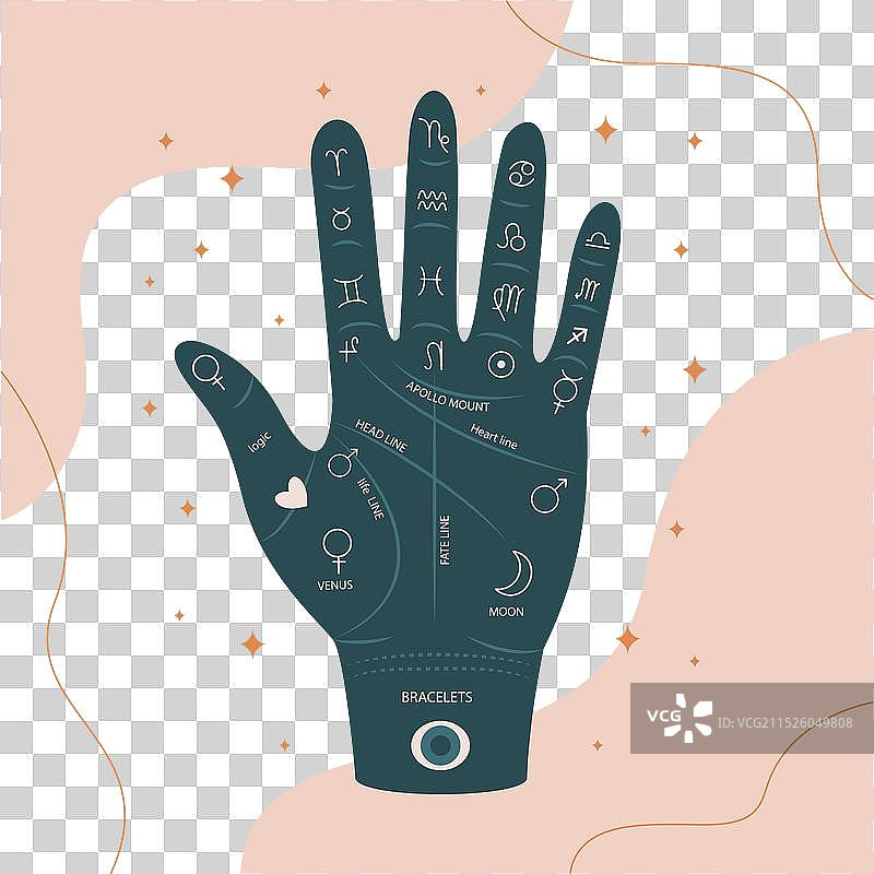 带有十二生肖的手相术图片素材