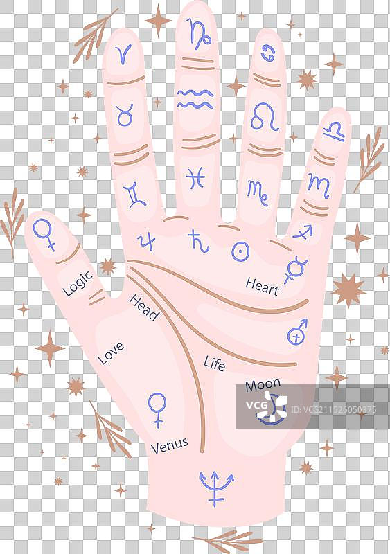 带有十二生肖的手相术图片素材