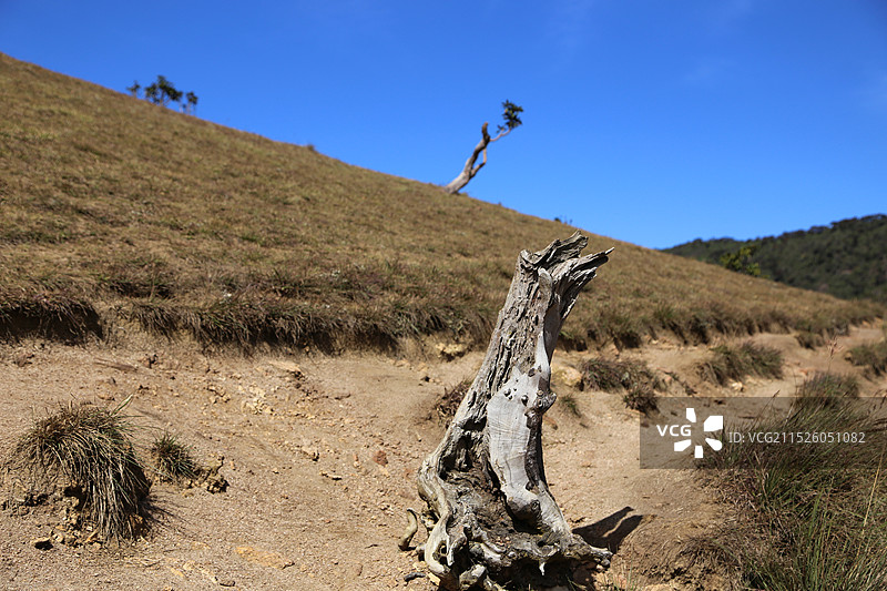 斯里兰卡霍顿平原国家公园图片素材