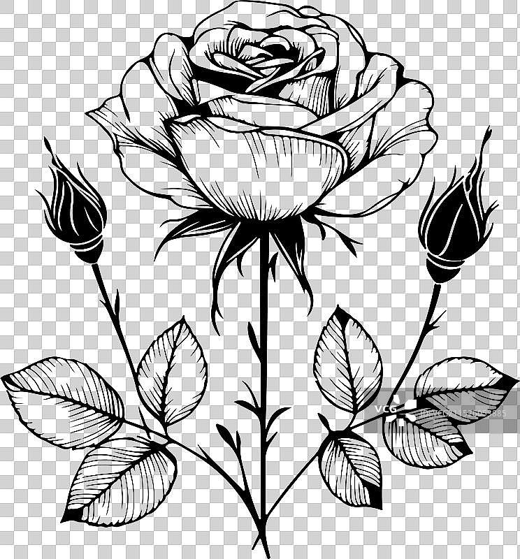 花朵线条艺术图片素材